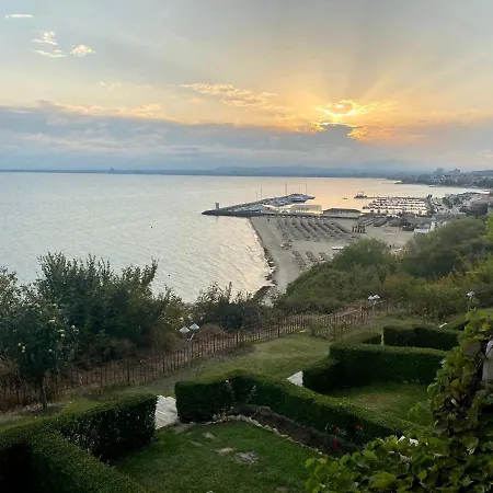 Dolce * 스베티 블라스