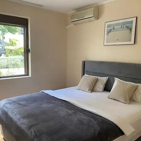 Dolce 스베티 블라스